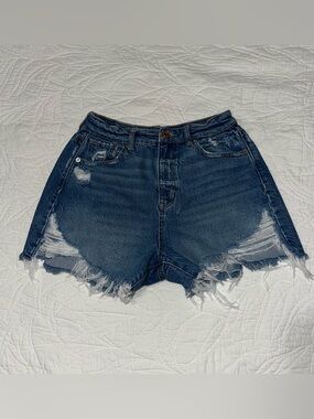 American Eagle Denim Shorts